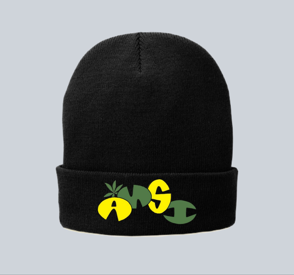 <1st edition> ANSI Beanie